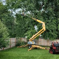 Best Emergency Tree Removal  in West Pasco, WA