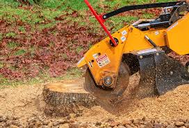 Best Tree and Shrub Care  in West Pasco, WA